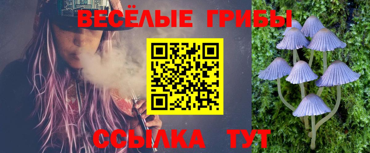 Псилоцибиновые грибы Psilocybe  наркота  Златоуст  Вход с VPN 